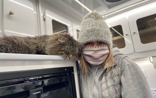 Vet standing next to cat that is sleeping on the operating table.