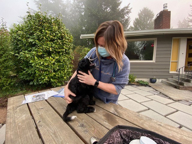 Dr. MacInnes treating cat outside of owner's home.